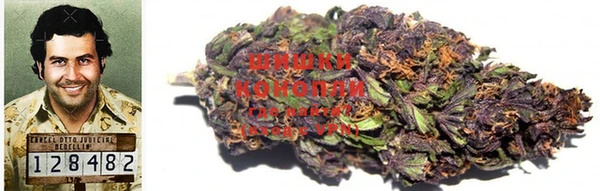 гидра Михайлов