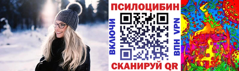 Псилоцибиновые грибы Psilocybine cubensis Новомичуринск