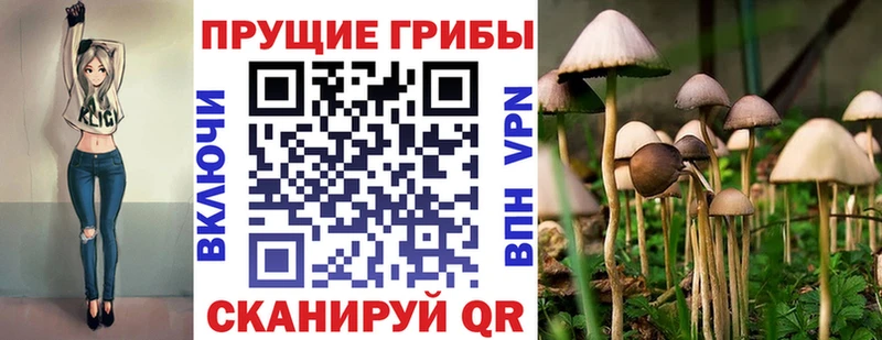 hydra как зайти  Новомичуринск  Галлюциногенные грибы Cubensis 